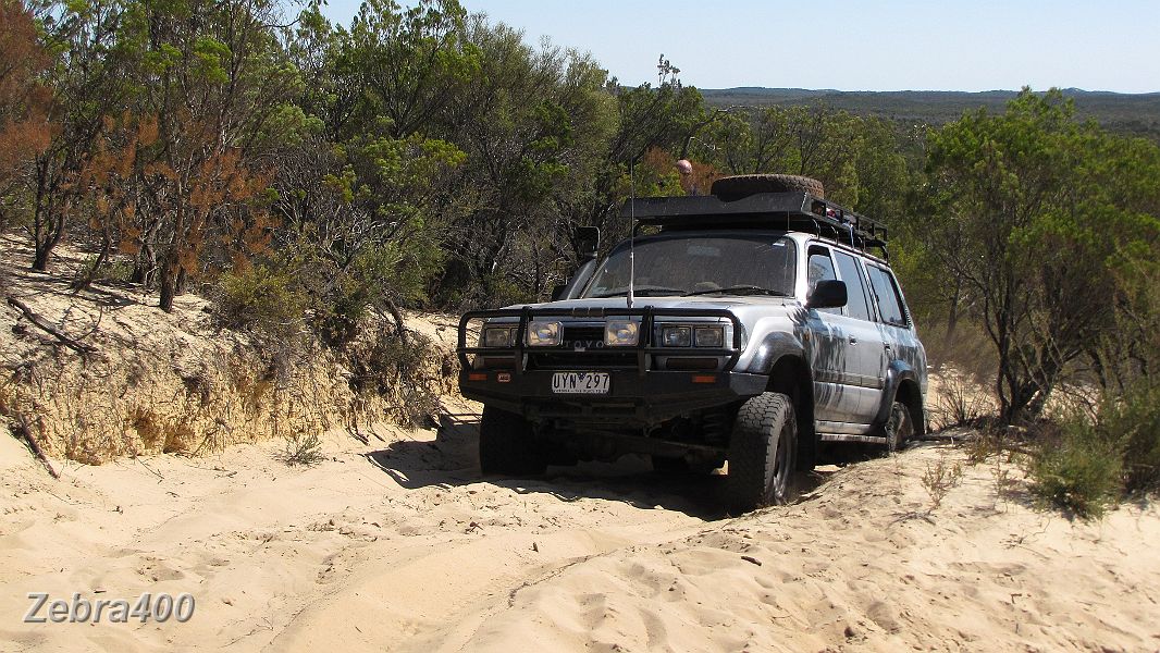 16-Frosty loves those sand dunes.jpg